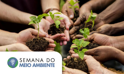 topo